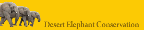 Desert Elephant Conservation logo