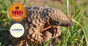 Scaling Up to Save the Pangolin