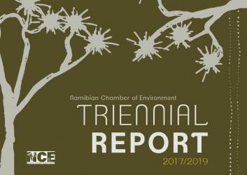 NCE Triennial Report cover