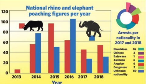 National Rhino and Elpehant figures