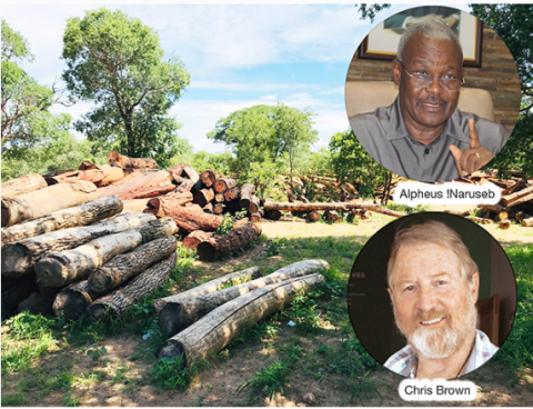 !Naruseb's efforts on timber questioned