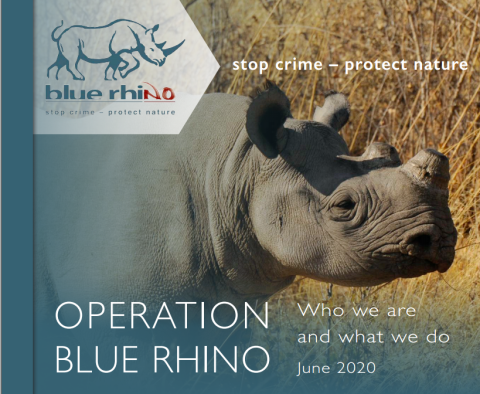 blue rhino near me