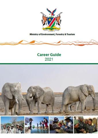 Ministry of Environment, Forestry and Tourism career guide 2021