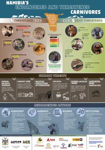 Conservation Status and Red List of the Terrestrial Carnivores of Namibia poster