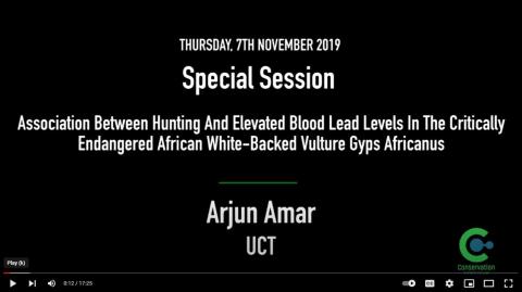 Arjun Amar - Hunting and elevated blood lead levels in the African White-backed Vulture