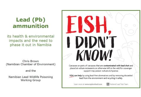 Presentation on Lead (Pb) ammunition, its health & environmental impacts and the need to phase it out in Namibia