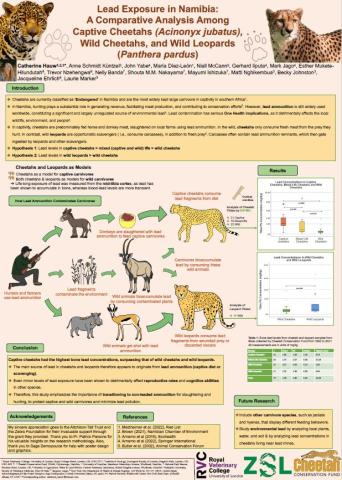 Lead exposure in Namibia poster