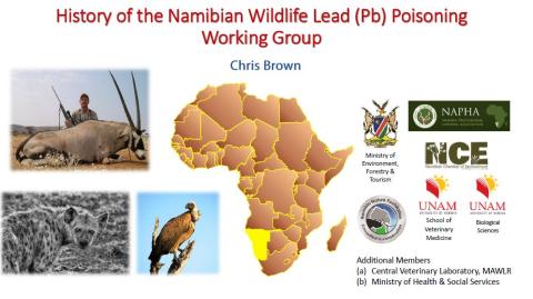 History of the Namibian Wildlife Lead (Pb) Poisoning Working Group