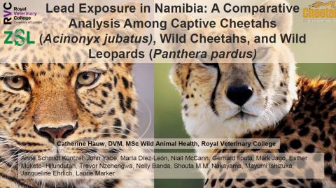 10 Lead exposure in Namibia