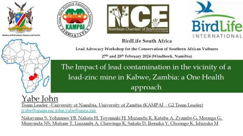 12 The Impact of lead contamination in the vicinity of a lead-zinc mine in Kabwe, Zambia