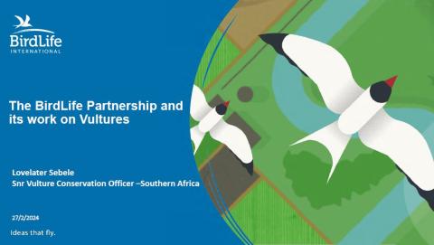 5 The BirdLife Partnership and its work on Vultures - Lovelater Sebele