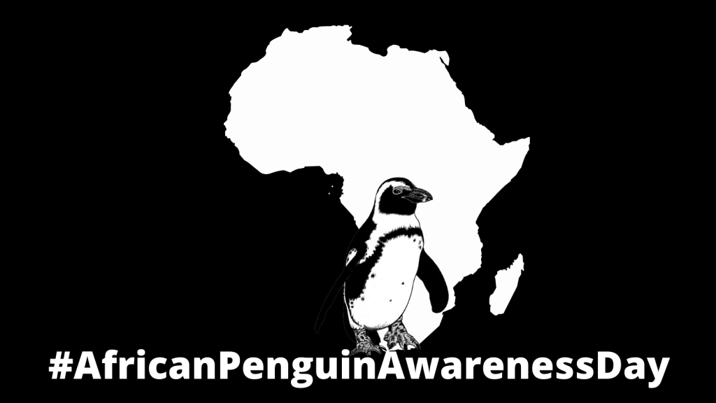 African Penguin Day